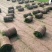 草坪草精品百幕大混播果岭草基地直发小区庭院工程绿化
