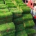 草坪草精品百幕大混播果岭草基地直发小区庭院工程绿化