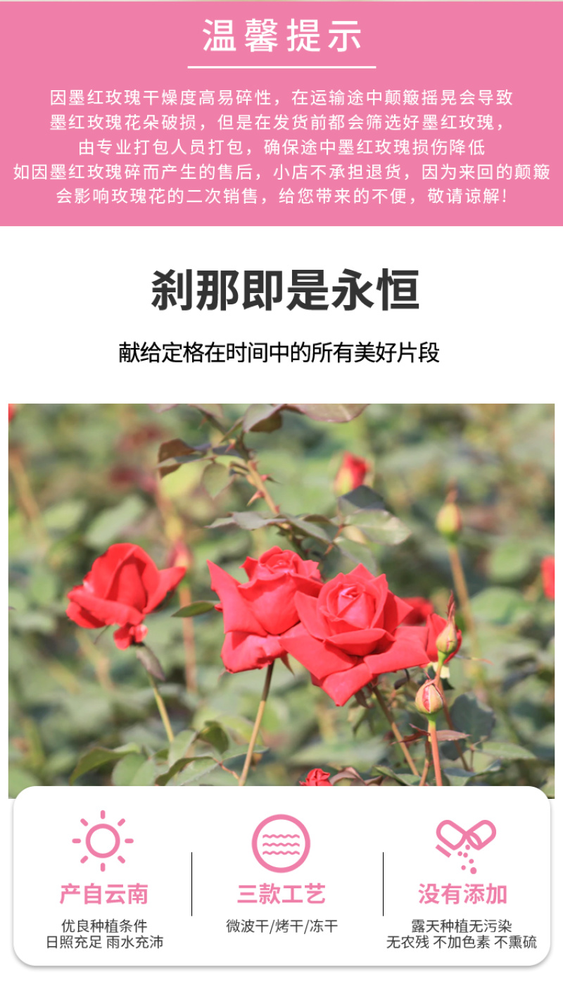 墨红玫瑰花茶冻干烤干大朵花冠墨红玫瑰现货批发
