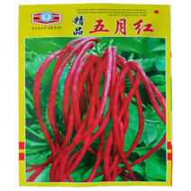 精品五月红满地红无架豆种子高产春秋红豇豆种子节间短耐热