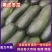 广西南宁西乡塘黑冬瓜条型好肉质好基地直供量大从优