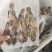 蜂巢斑-活杀极冻蜂巢斑-海南锦福益海供应蜂巢斑
