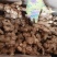 产地直发一手货源精品老姜质优价廉货源充足云南老姜