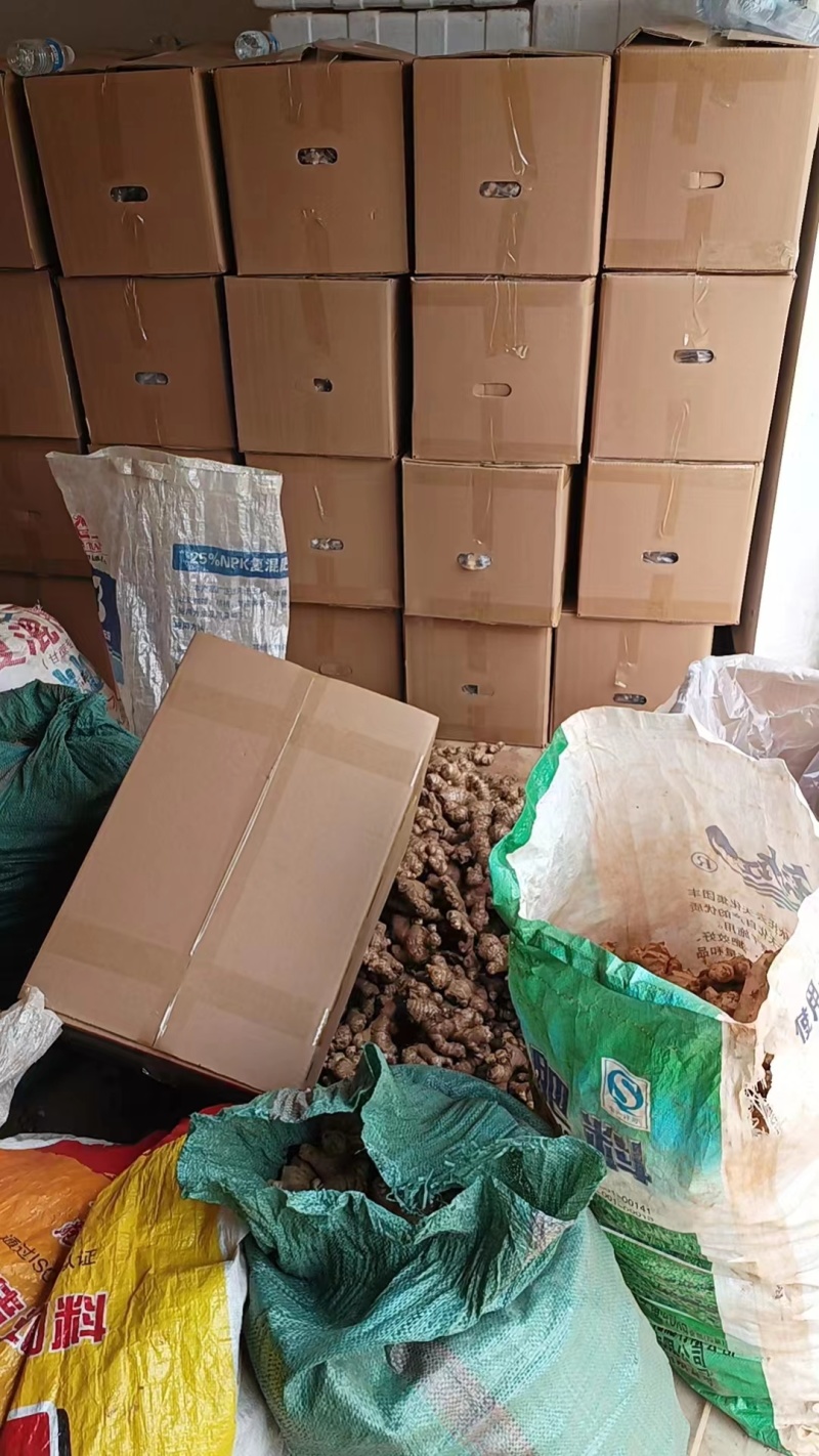 产地直发一手货源精品老姜质优价廉货源充足云南老姜