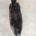 两去石斑鱼-活杀极冻石斑鱼-海南锦福益海供应石斑鱼
