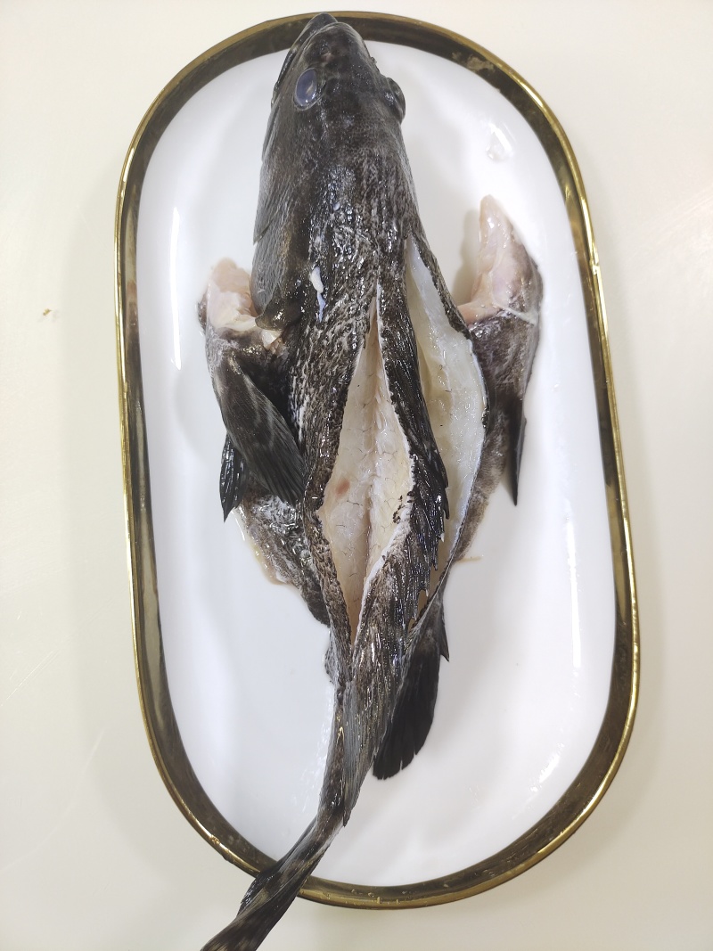 两去石斑鱼-活杀极冻石斑鱼-海南锦福益海供应石斑鱼
