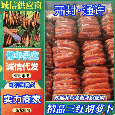精品三红红萝卜，全国发货，量大从优，价格合理