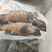 蓝星斑-活杀极冻蓝星斑批发-海南生鲜供应蓝星斑