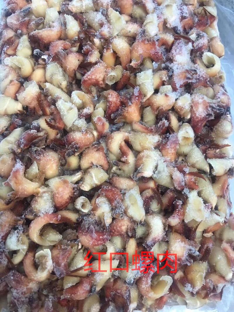 红口螺肉-活杀极冻红口螺肉-海南生鲜供应红口螺肉