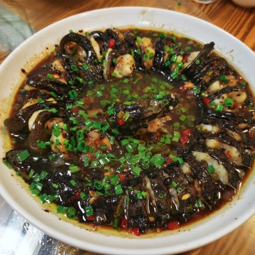 西沙海鳗鱼-活杀极冻海鳗鱼-海南生鲜供应海鳗鱼