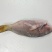 西沙粉衣鱼-活杀极冻粉衣鱼批发-海南生鲜供应西沙粉衣鱼