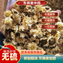 婺源黄菊黄山贡菊北京胎菊泡水泡茶新货上市全国发货包邮