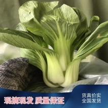 🔥🔥精品小油菜产地直销【专业代办】货源充足运输便利