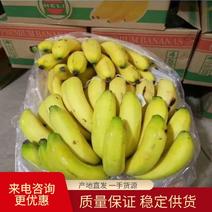 🔥🔥精品香蕉货源充足(放心采购)价格便宜质量