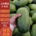【冬瓜】聊城小冬瓜大量供应产地直发可视频看货欢迎咨询