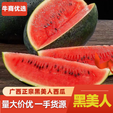 黑美人西瓜可供货电商市场通货量大从优质量三包