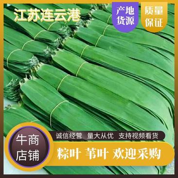 粽叶苇叶芦苇江苏基地供货，产量大，品质优，对接各地市场