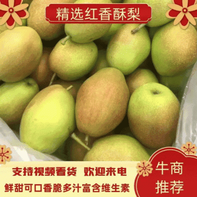 陕西精品红香酥梨，产地直发，支持电商对接，个头大，质量好