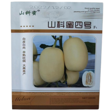 山科蜜四号甜瓜种子大果早熟薄皮香瓜种子500粒白肉圆柱形