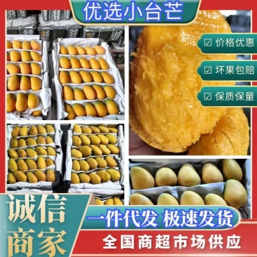 大量供应批发小台芒诚招电商微商一件代发保证品质