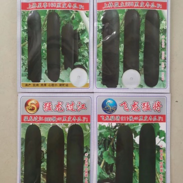 【实力推荐】高产黑皮冬瓜种子—杂交冬瓜种植技术交流