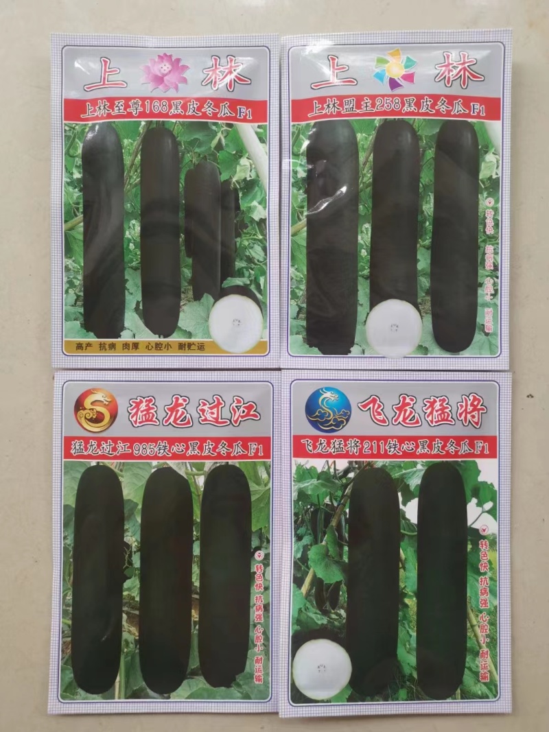【实力推荐】高产黑皮冬瓜种子—杂交冬瓜种植技术交流