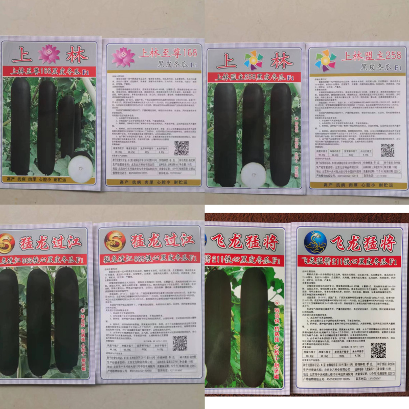 【实力推荐】高产黑皮冬瓜种子—杂交冬瓜种植技术交流