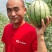 吊兰西瓜938小糖丸货源充足全国发货欢迎联系