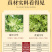 南阳艾叶艾草端午节头茬艾叶手工挑选驱蚊防虫挂门窗