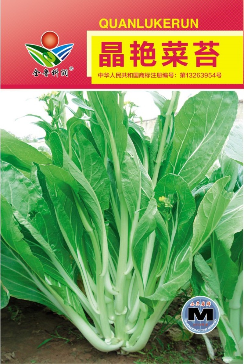 白菜苔种子晶艳苔菜菜苔种子全国发货品质好