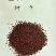 白菜苔种子晶艳苔菜菜苔种子全国发货品质好