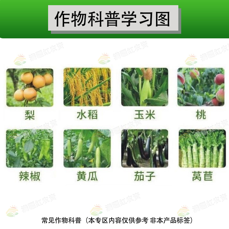 30%噻唑膦黄瓜番茄甘蓝蔬菜果树根结线虫根瘤病农药杀菌剂