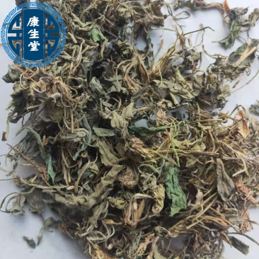 紫花地丁新货地丁货干颜色好中药材批发供应