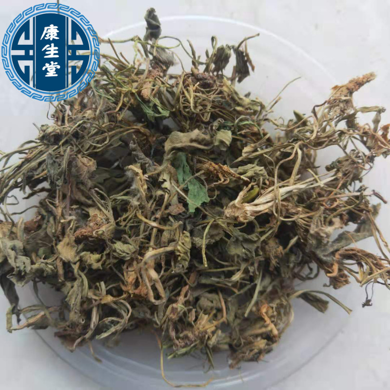 紫花地丁新货地丁货干颜色好中药材批发供应
