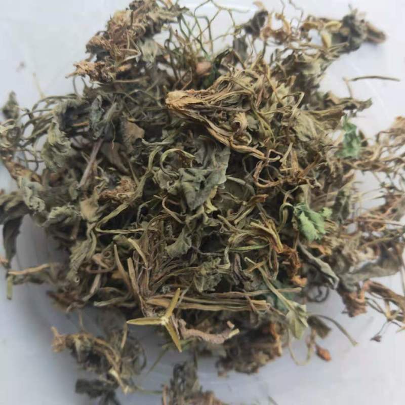 紫花地丁新货地丁货干颜色好中药材批发供应