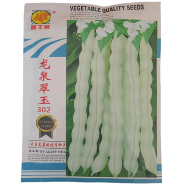 龙泉翠玉302九粒白芸豆种子高产压塌架豆角种子早熟无筋豆