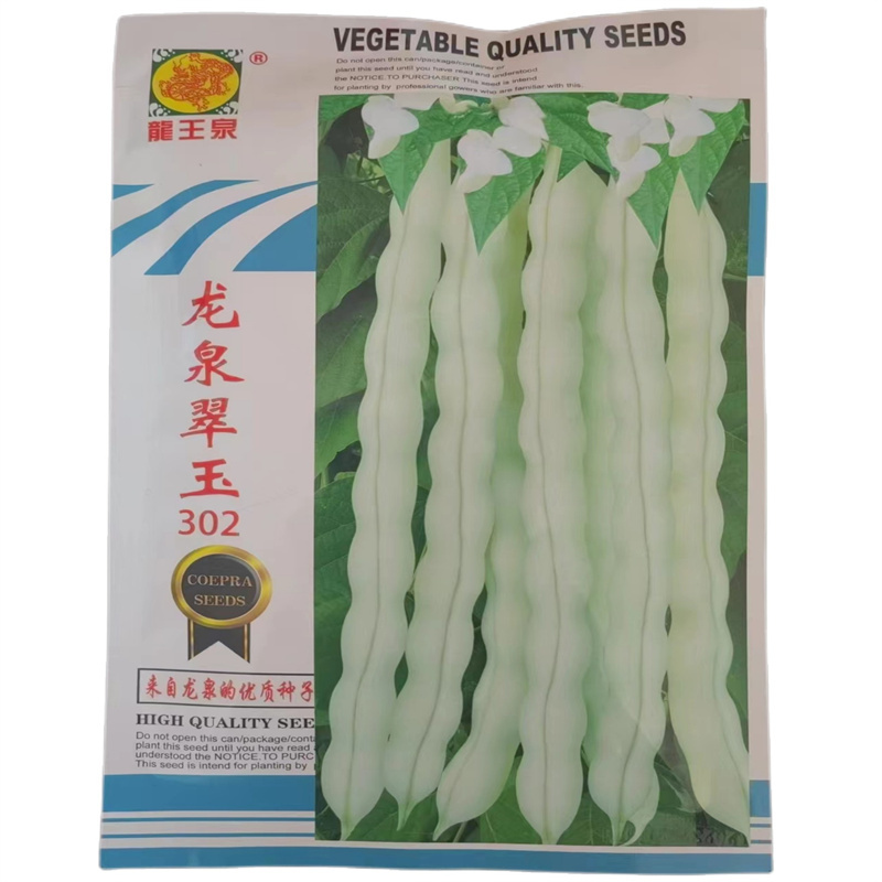 龙泉翠玉302九粒白芸豆种子高产压塌架豆角种子早熟无筋豆