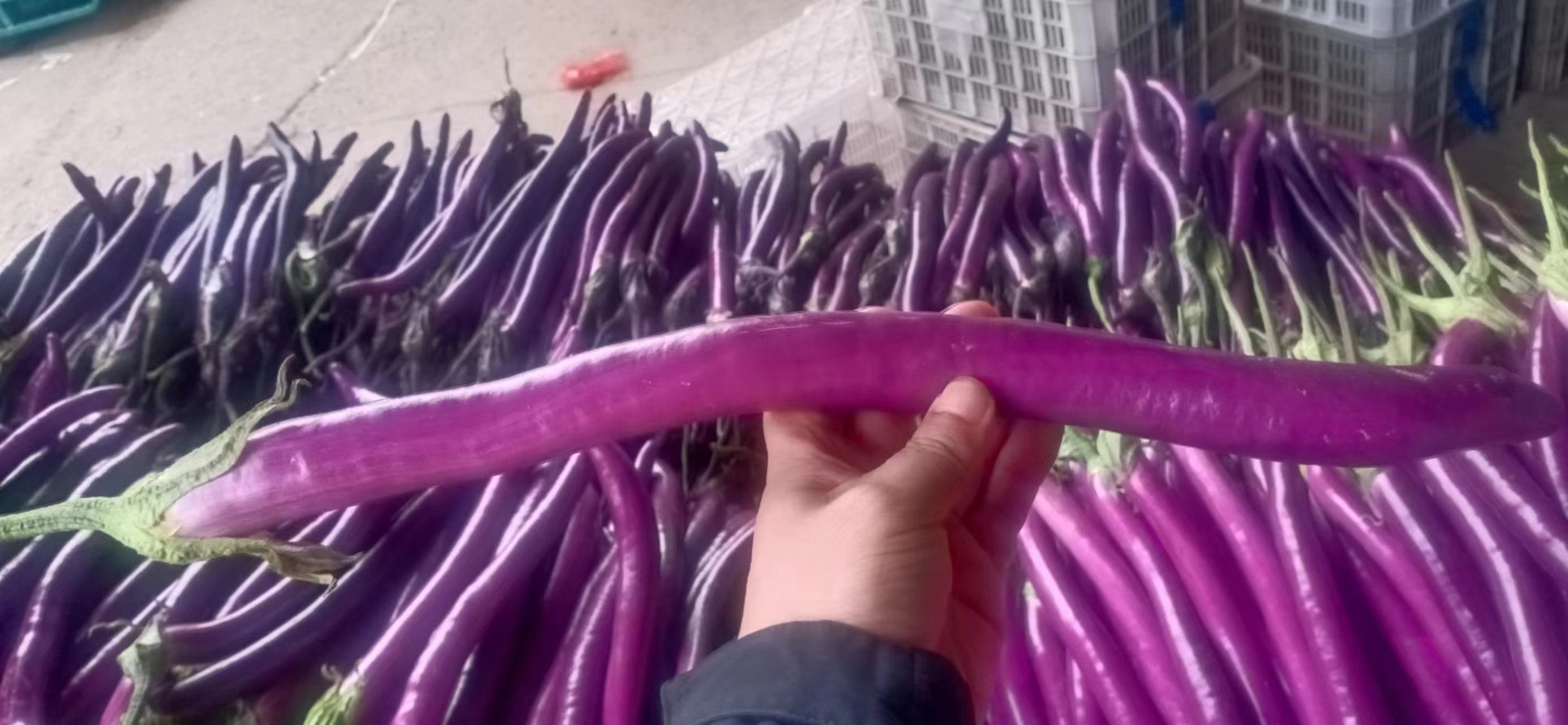线茄大小与口感关系
