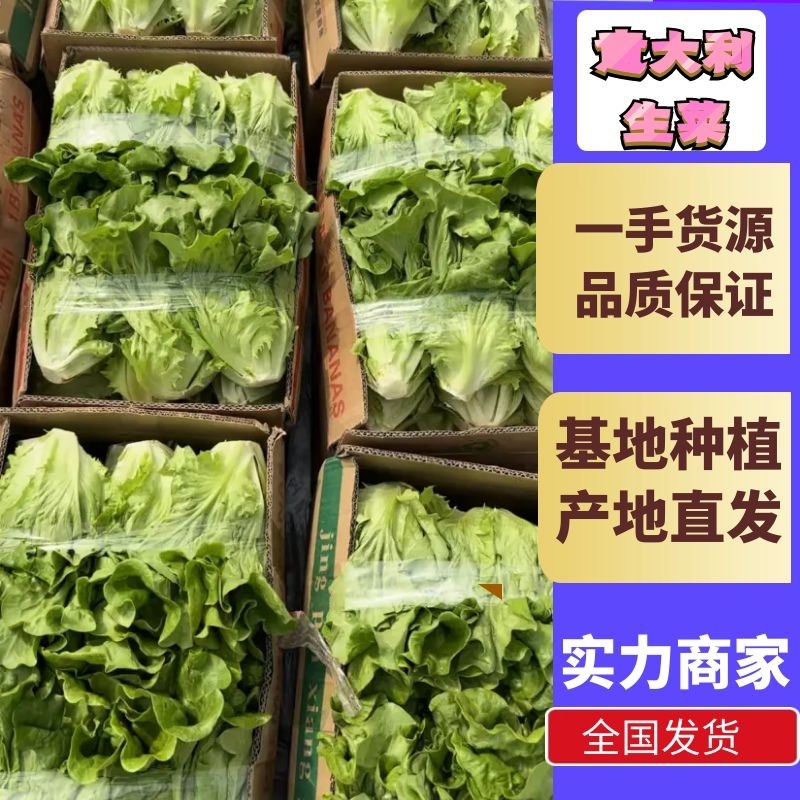 地头直接上车，意大利生菜品质保证可视频看货，支持预定