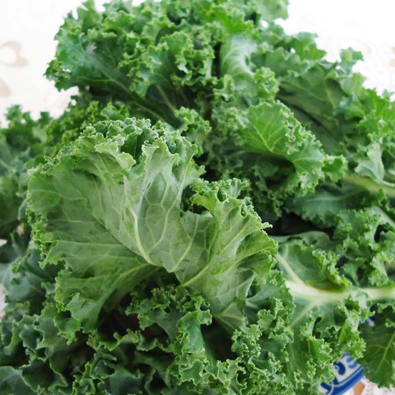 羽衣甘蓝种籽观赏食用特菜蔬菜种子叶牡丹花园春秋季阳台盆栽