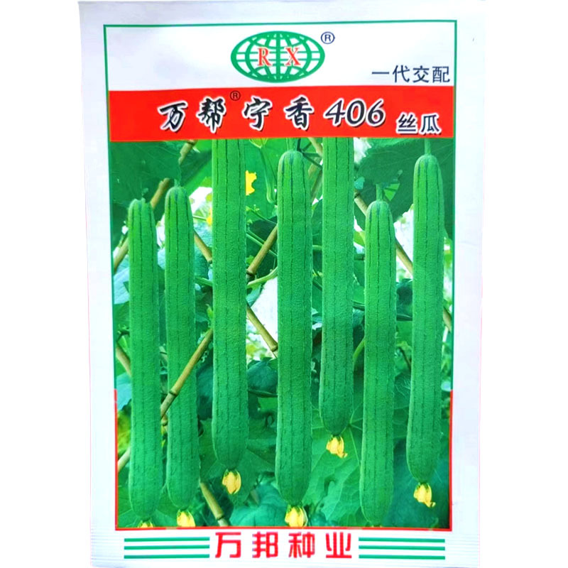 宁香406丝瓜种子早熟味甜高产长丝瓜大田雌花多发芽高