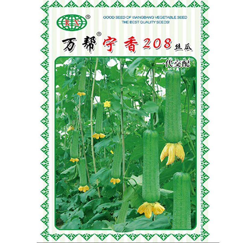 万帮宁香208肉丝瓜种子早熟短丝瓜杂交果肉蜜