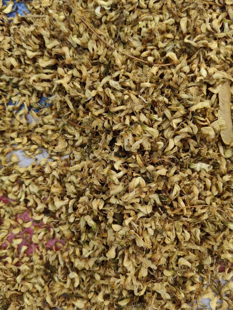 【推荐】精品脱水槐花凉拌炒肉包饺子包子晾干烘干天然好品质