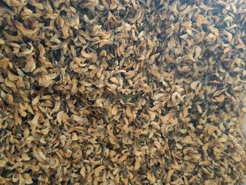 【推荐】精品脱水槐花凉拌炒肉包饺子包子晾干烘干天然好品质