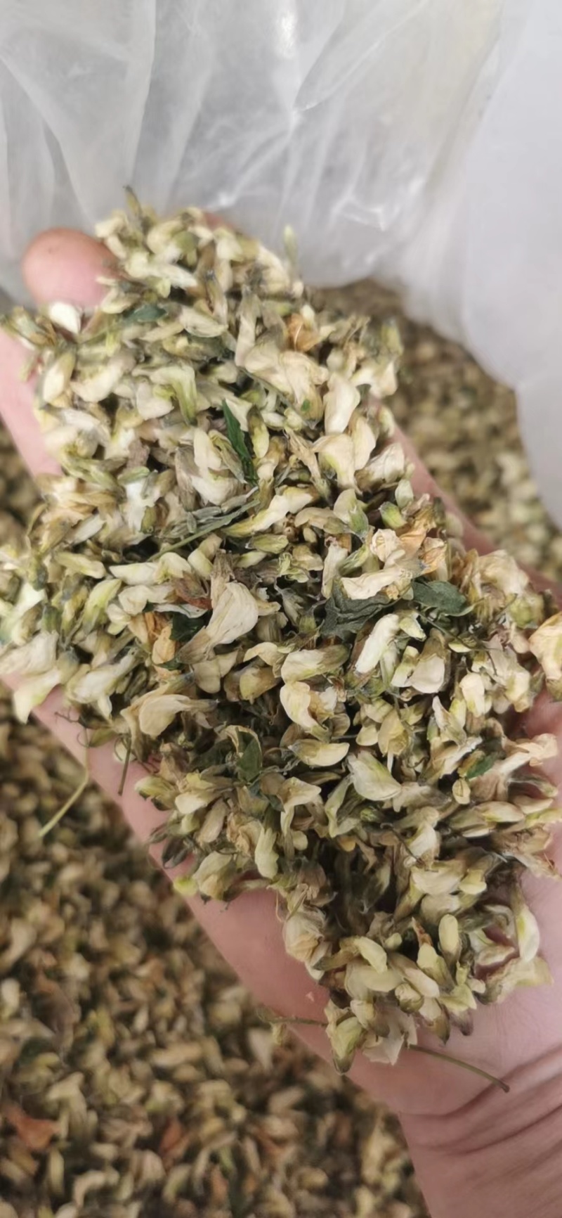 【推荐】精品脱水槐花凉拌炒肉包饺子包子晾干烘干天然好品质