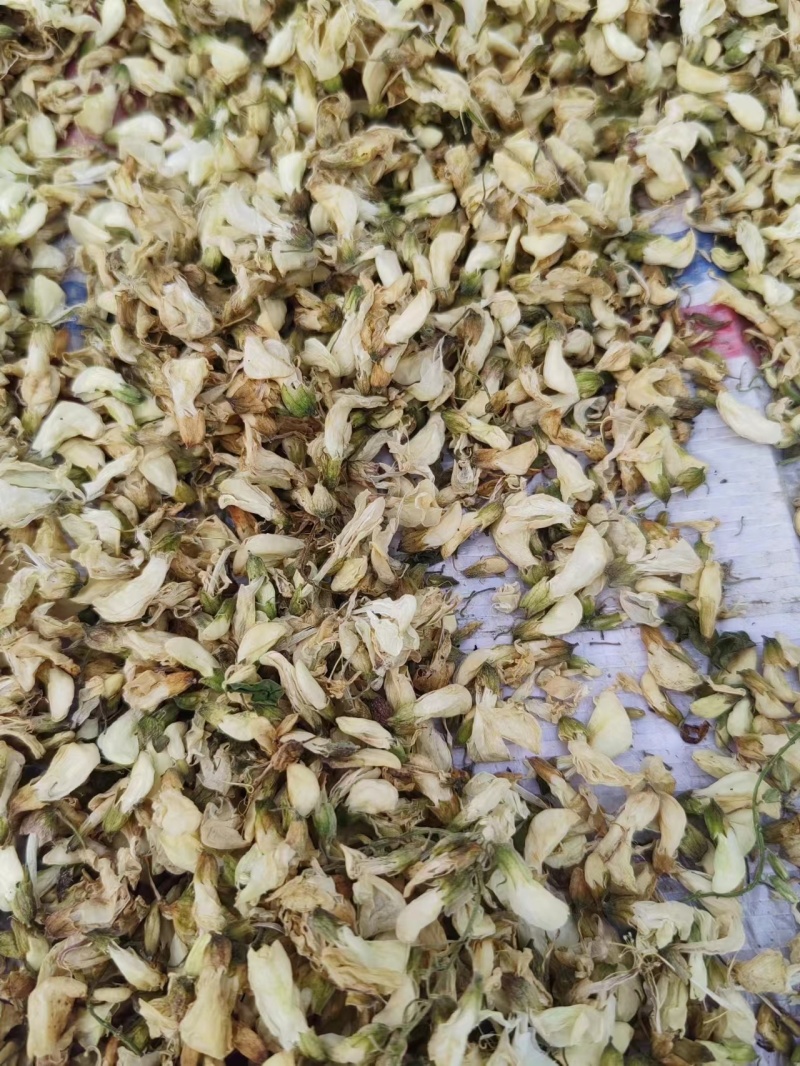 【推荐】精品脱水槐花凉拌炒肉包饺子包子晾干烘干天然好品质