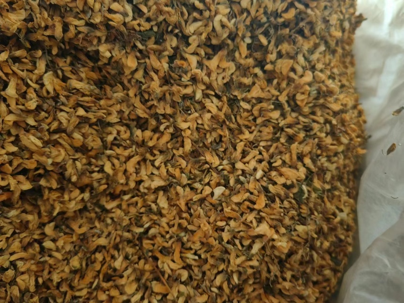 【推荐】精品脱水槐花凉拌炒肉包饺子包子晾干烘干天然好品质