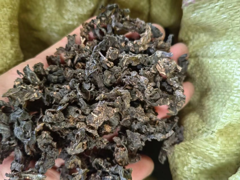 河南纯野生地皮菜野生菌类营养价值价值高品质好价格低