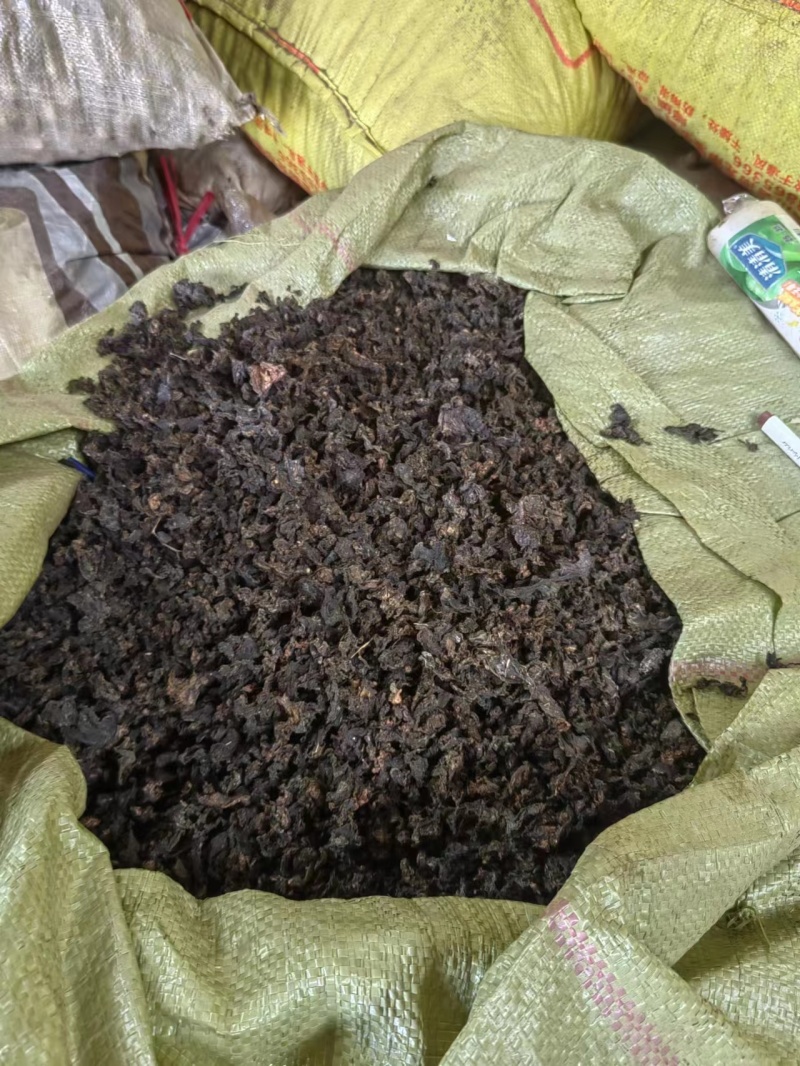 河南纯野生地皮菜野生菌类营养价值价值高品质好价格低