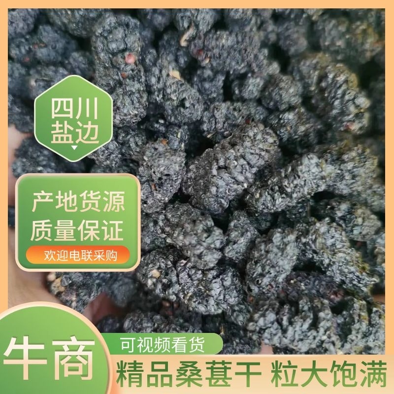 四川黑桑葚桑葚干一手货源产地直发货源充足